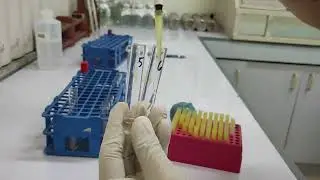 Serial Dilution Preparation