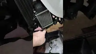 Замена антифриза Honda Giorno AF-77