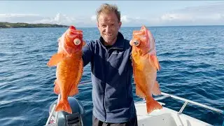 Uerfiske - Gullplassen oppdaget