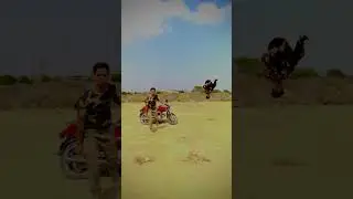 Fying jump daikhna na bhulna 