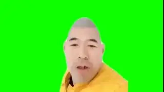 xue hua piao piao bei feng xiao xiao Green Screen
