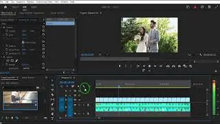 How to use the Beat Edit plugin in Premiere Pro (tutorial)