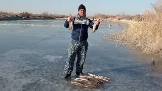 Qishda baliq🐟ovi z'or bo'ldi. Ovimiz baroridan keldi.Зимняя рыбалка 🐟 Подлёдная рыбалка 