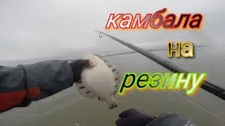 Flounder from the shore on rubber from Baton!