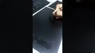 Bear with me!