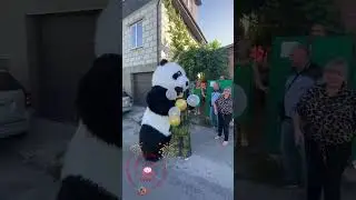 Амиго с шараит спешит на ДР #panda  #umka #Амиго #Умка #dance #umkarostov #мишкаумка #амиго