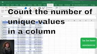 Count the number of unique values in a column with VBA