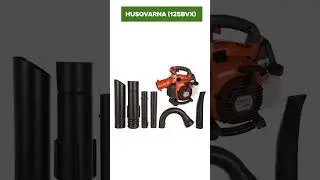 TOP-6. Best Gas Leaf Blowers 2024