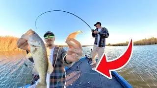 HOW to BASS Fish The FALL to WINTER Transition
