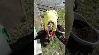 извиняюсь за звук,ветер сильный, порой не совсем слышно 