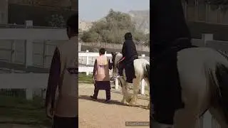 ride in horse in UAE flower farm...