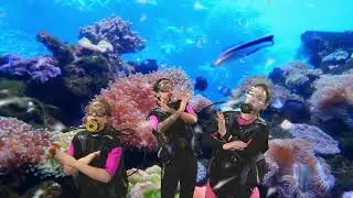 Хромакей (В Ритме Че)_Подводный мир