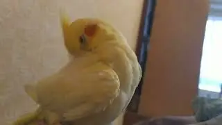Конфеточка