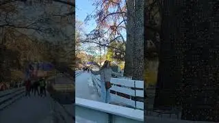 Каток в Нови Саде #serbia #сербия #новисад