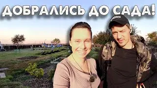 Ошибки в садоводстве I Наш сад I Снова ремонт