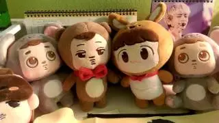MAJOR EXO haul: fangoods and more!