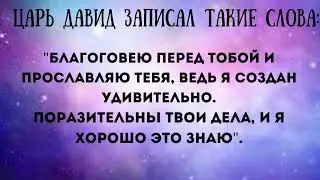А знаете ли вы?