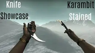 Karambit Stained I Showcase