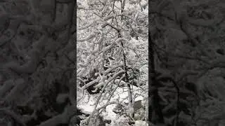 Гуамка. Гуамское ущелье.