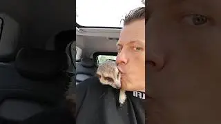 Яна везёт пушистых