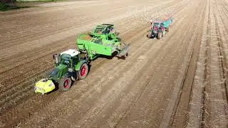 Arrachage de pommes de terre 2021/ AVR SPIRIT 9200
