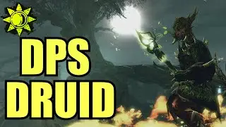 Condition DPS Druid - Guild Wars 2 PvE Ranger Raid/Fractal Build Guide