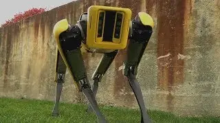 If the SpotMini was made by EA