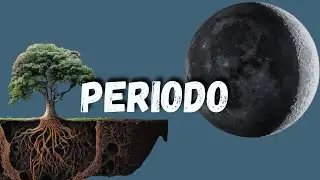 Ciclo Lunar: Causas, Transiciones e Influencia en las Plantas y Árboles