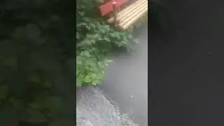 обследование 