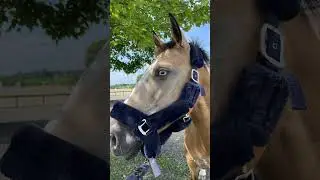 😍