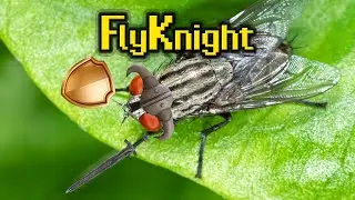 The Souls-like game where you are a fly!