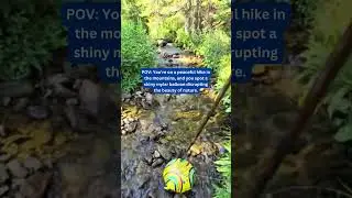 Don't just trade the markets. Take action when it counts. #traderlife #Naturelover #Shorts