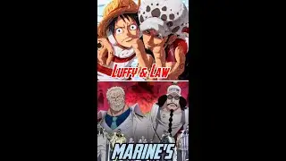 Luffy & Law Vs Marine's 