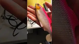 Rigging a few Ricky the roach 