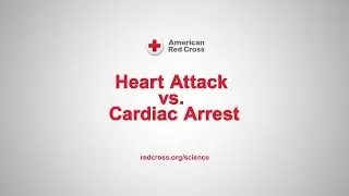 Signs & Symptoms: Cardiac Arrest vs. Heart Attack