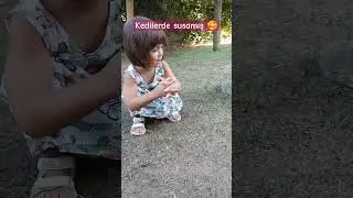 Yazık bardakla nasıl içsin geniş kap olmalıi🥰😉#kedi #hayvanlar #hayvansevgisi #shorts