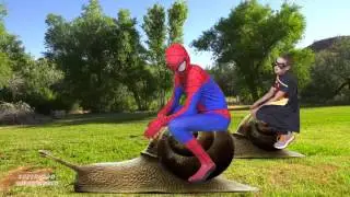 Frozen Elsa POO COLORED BALLS with Spiderman vs Joker w/ Spidergirl