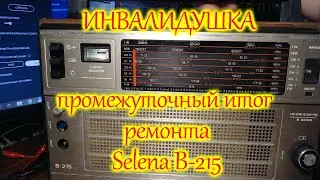 Инвалидушка. Промежуточный итог ремонта  Selena B-215