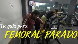 TODO lo que tienes que SABER del FEMORAL PARADO