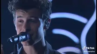 Shawn's singing voice here sounds like a lullaby.