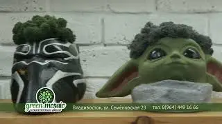 Студия Green.mosaic