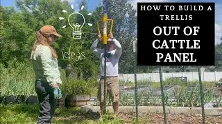 How to Make a Sturdy Trellis out of Cattle Panel