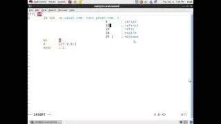 DNS Server-Linux Lab