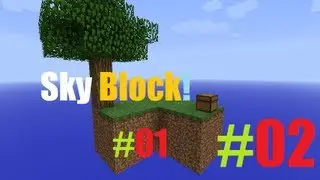 Serie Sky Block Ep.2 !!! Muy Noobs!!!