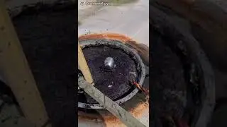 водолаз