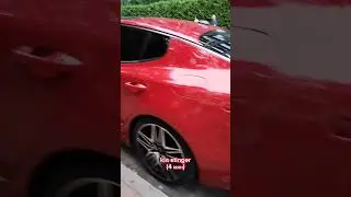 какая лучшая?