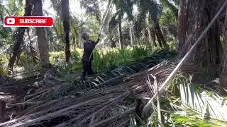Pekerjaan Di Malaysia #PART9 || JANGAN LUPA DI SUBSCRIBE TEMAN-TEMAN