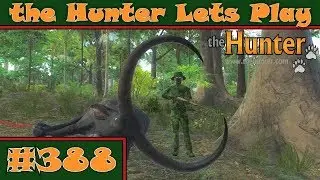 LP theHunter #388 - Ab in den Dschungel