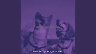 Wondrous Music for Pups
