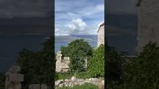 Смоковница в руинах у моря Хорватия